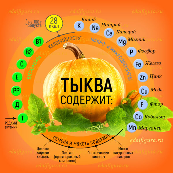 О пользе тыквы. Чем очень полезен главный осенний овощ тыква.